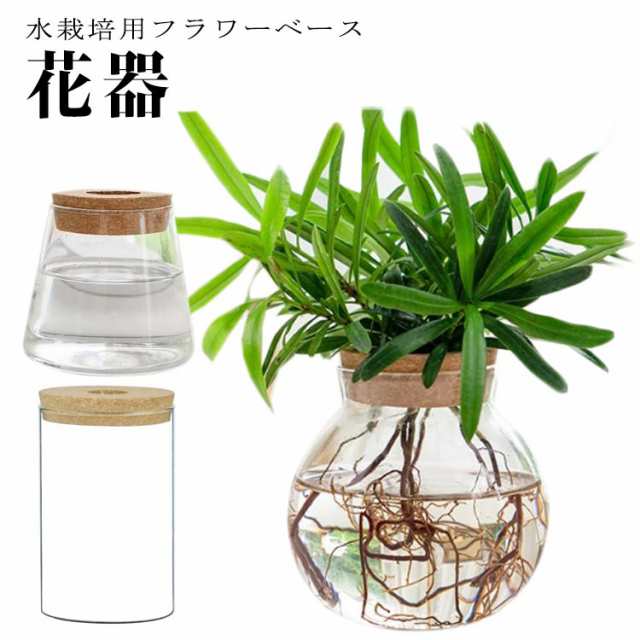 水栽培 ミニ フラワーベース 鉢 花瓶 球根 観葉植物 ガラスベース ポット おしゃれ 容器 インテリア 花器 花 水耕栽培 枝物 多肉植物 観葉植物 植木鉢 お祝い プレゼント 開店祝い 送料無料